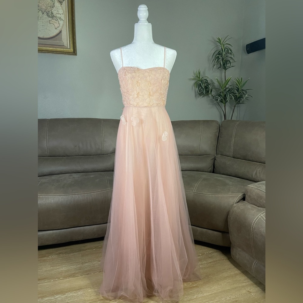 NWT Zac Posen Blush Floral Appliqué Tulle Gown Sz 6 Formal Holiday Event Gala